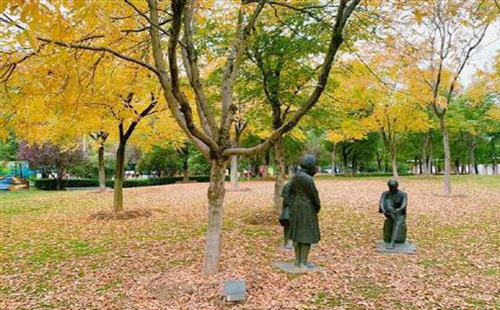 武漢秋冬季適合拍落葉的景點推薦